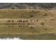 Bylong NSW 2849