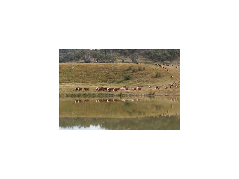 Bylong NSW 2849