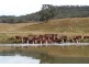 Bylong NSW 2849