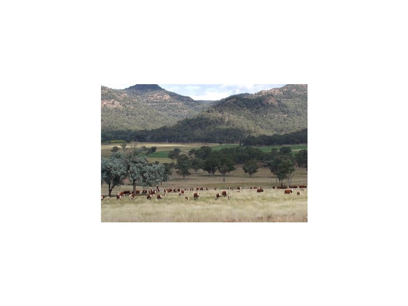 Bylong NSW 2849