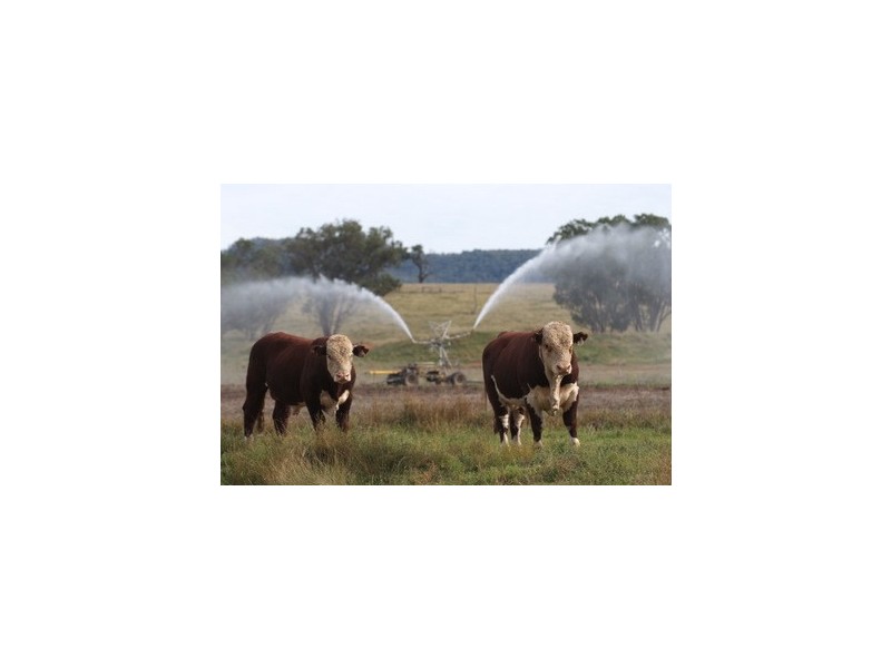 Bylong NSW 2849