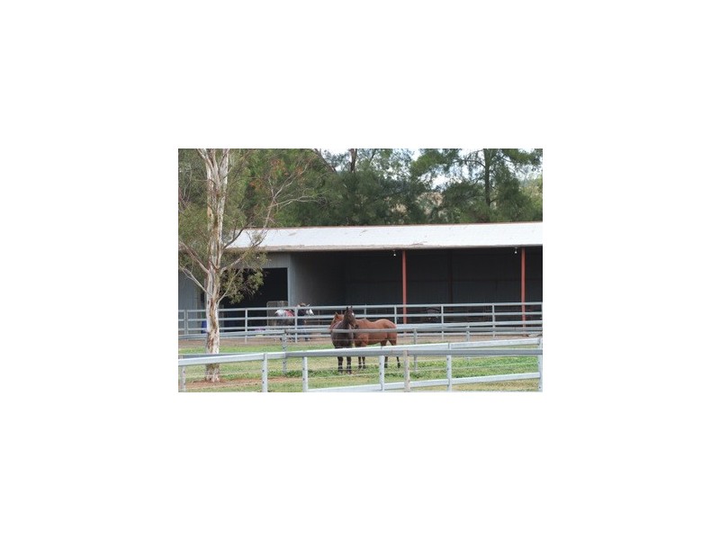 Bylong NSW 2849