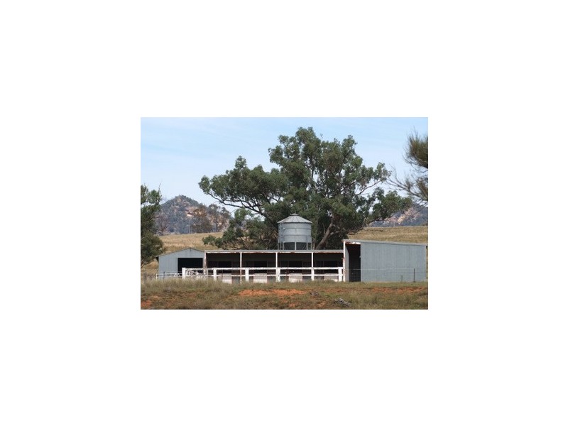 Bylong NSW 2849