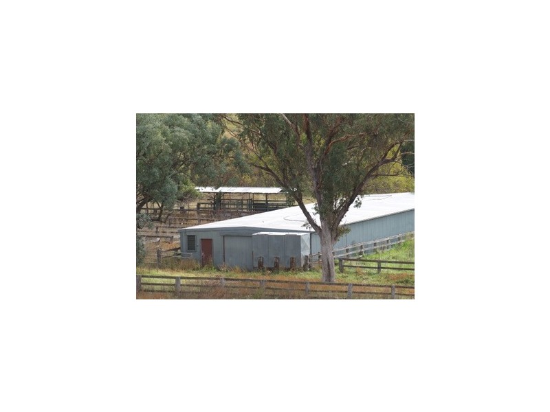 Bylong NSW 2849