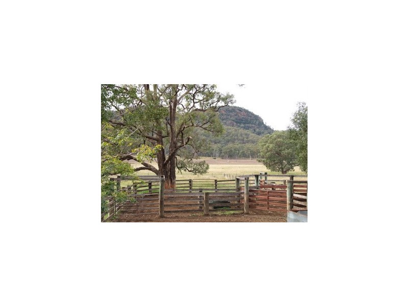 Bylong NSW 2849
