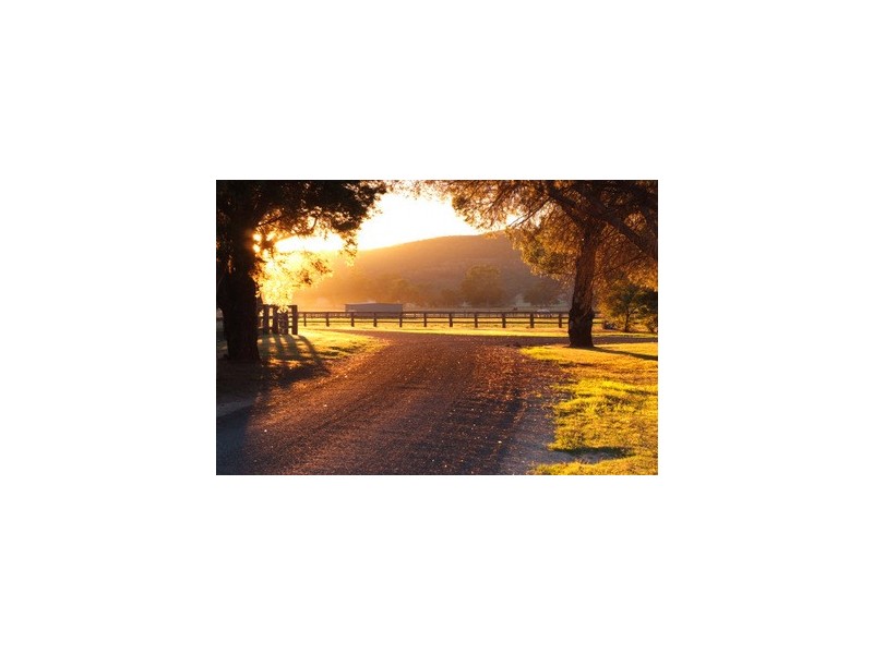 Bylong NSW 2849