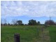 Singleton NSW 2330