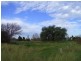 Singleton NSW 2330