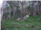 Lot 114 Commission Road, Howes Valley NSW 2330
