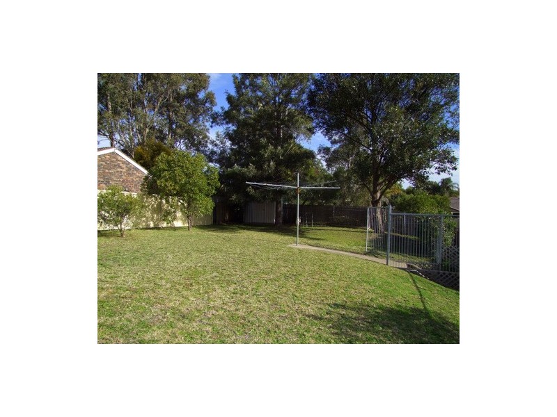 Singleton NSW 2330