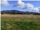 Jerrys Plains NSW 2330
