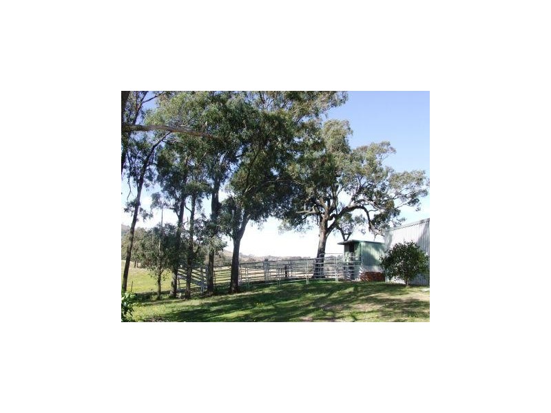 218 Carrowbrook Road, Singleton NSW 2330