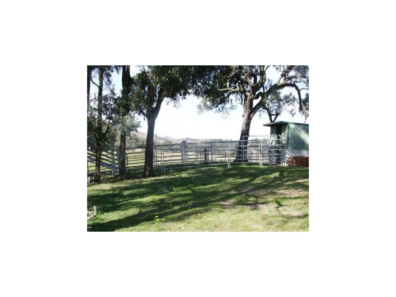 218 Carrowbrook Road, Singleton NSW 2330