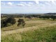218 Carrowbrook Road, Singleton NSW 2330