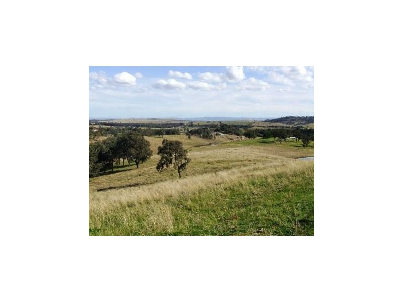 218 Carrowbrook Road, Singleton NSW 2330