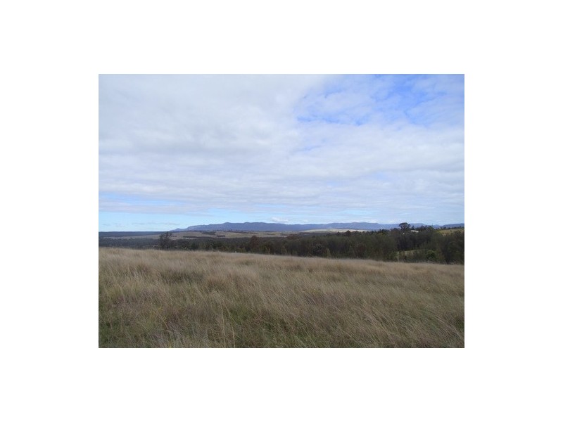 Singleton NSW 2330