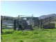 Singleton NSW 2330