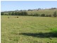 Singleton NSW 2330