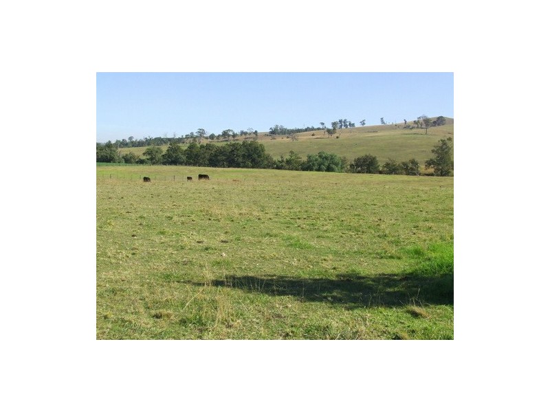 Singleton NSW 2330