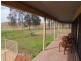Singleton NSW 2330