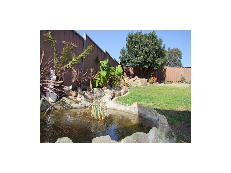 Singleton NSW 2330