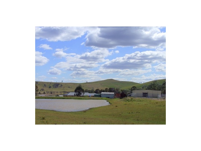 Singleton NSW 2330