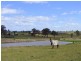 Singleton NSW 2330