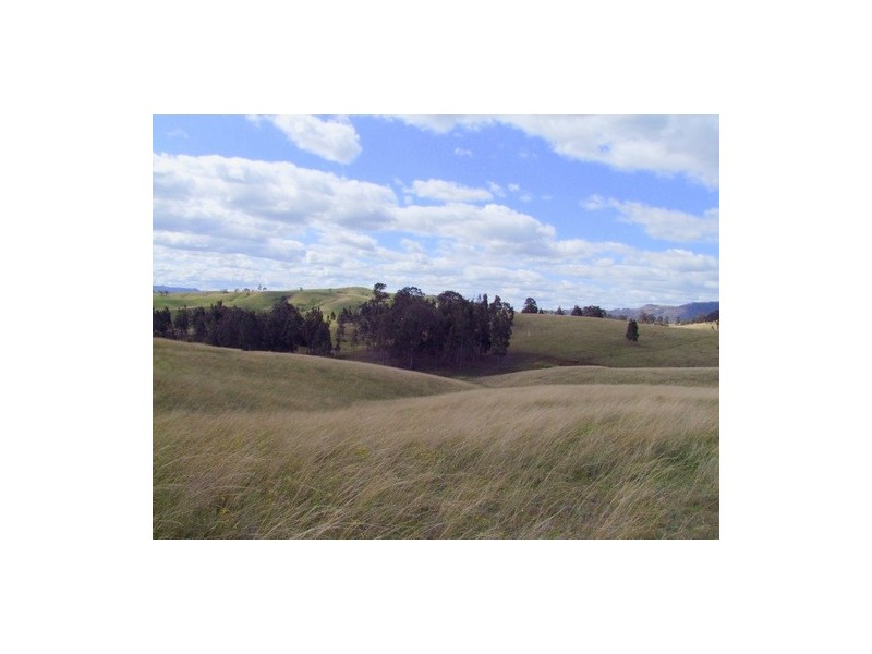 Singleton NSW 2330