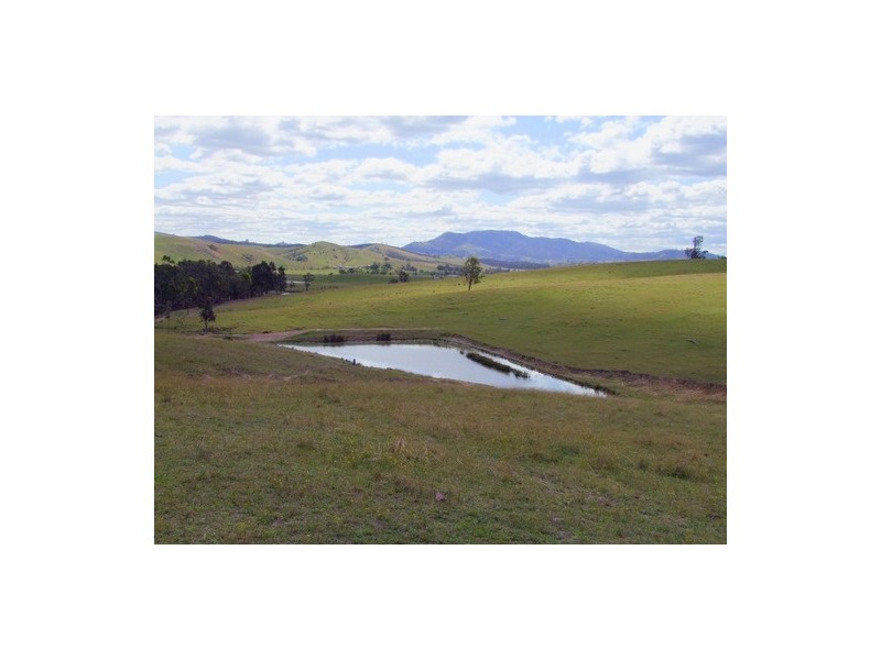Singleton NSW 2330