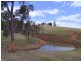 Singleton NSW 2330