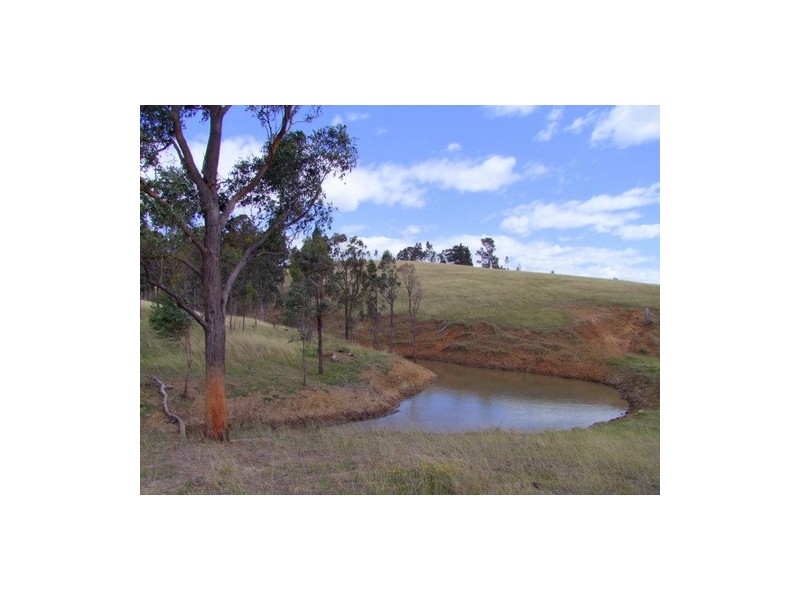 Singleton NSW 2330