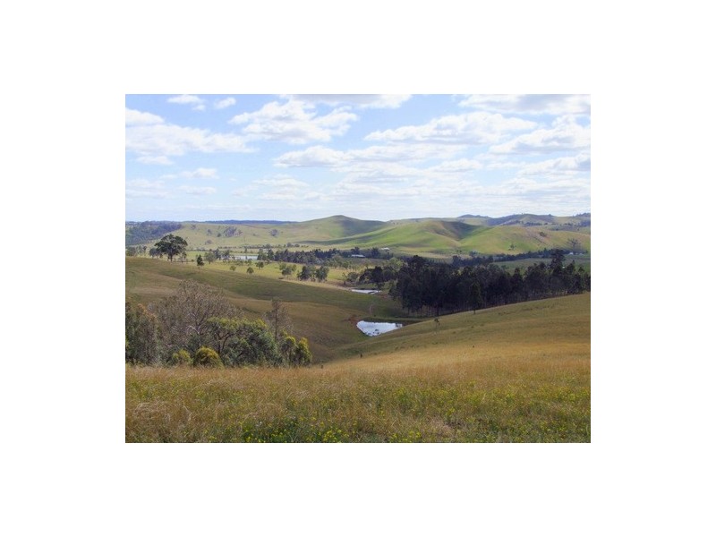 Singleton NSW 2330