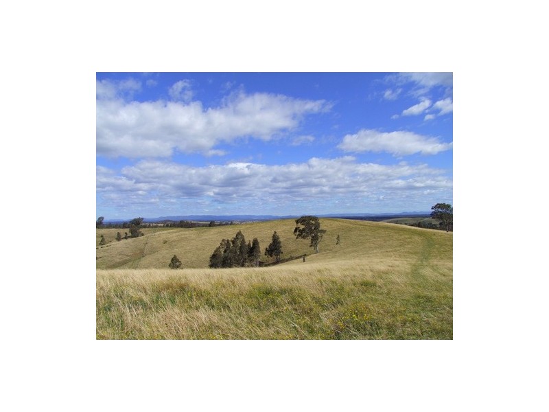 Singleton NSW 2330
