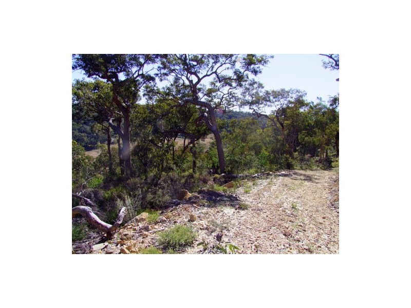 Putty NSW 2330