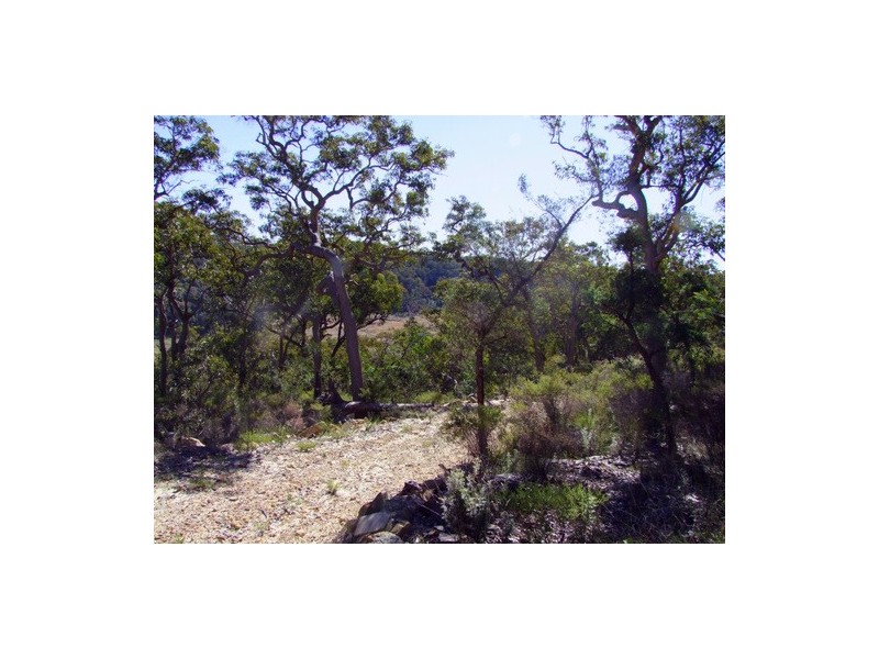Putty NSW 2330