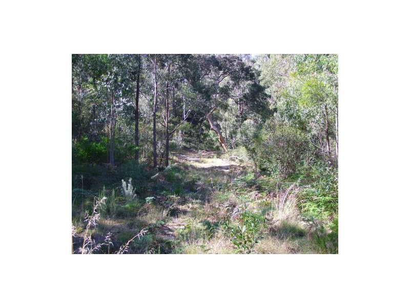Putty NSW 2330