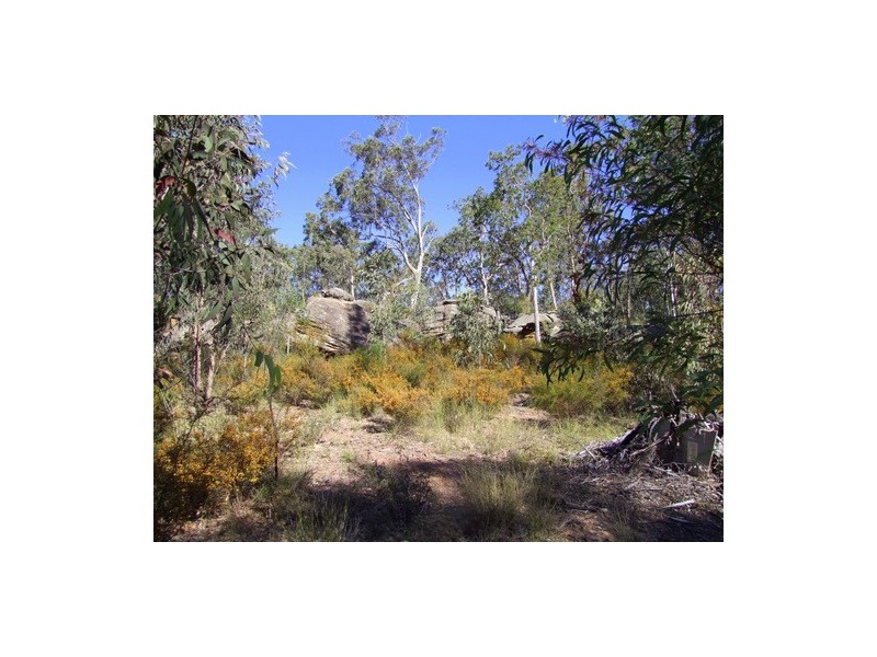 Putty NSW 2330