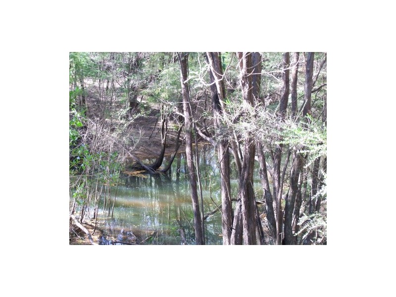 Putty NSW 2330