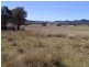 Sandy Hollow NSW 2333