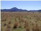 Sandy Hollow NSW 2333