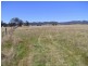 Sandy Hollow NSW 2333