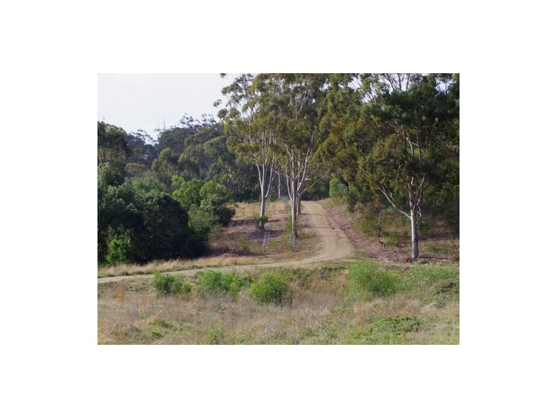 895 Jones Reserve Road, Doyles Creek NSW 2330