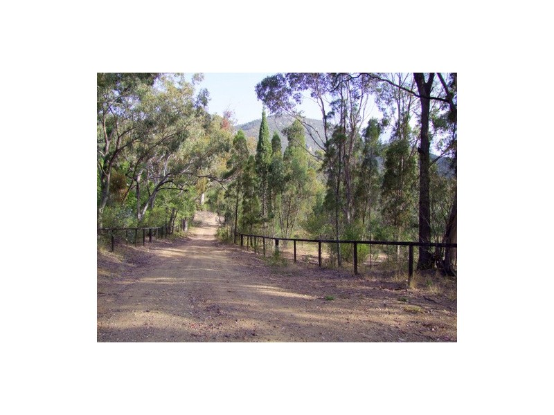 895 Jones Reserve Road, Doyles Creek NSW 2330