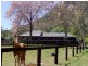 Milbrodale NSW 2330