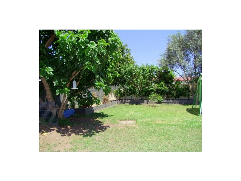 Singleton NSW 2330