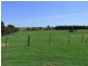 Denman NSW 2328