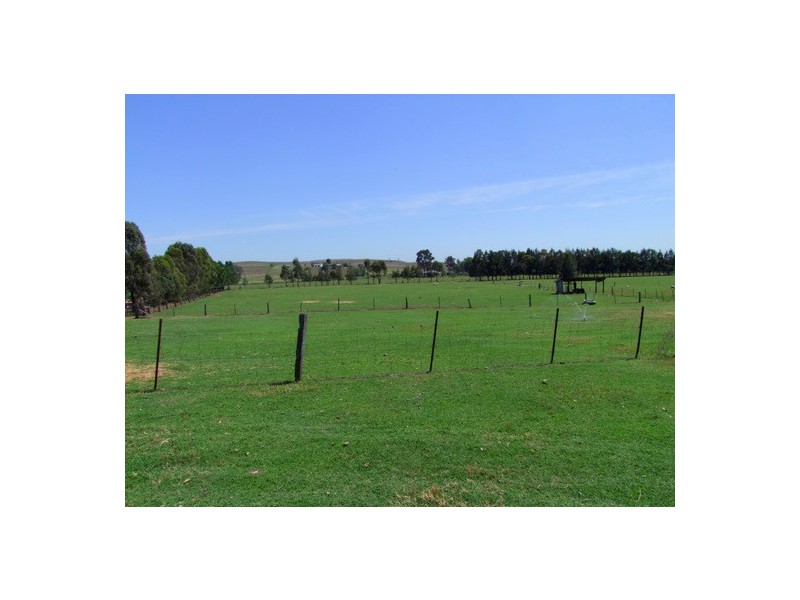 Denman NSW 2328