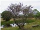 Singleton NSW 2330