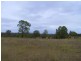 Singleton NSW 2330