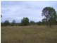 Singleton NSW 2330